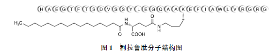 利拉鲁肽分子结构图.png